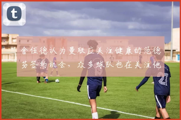 舍伍德认为曼联应关注健康的范德芬签约机会，众多球队也在关注他